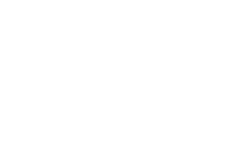 Wyke-w-logo-white